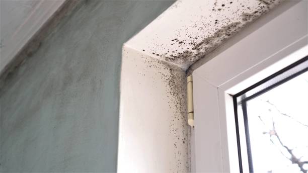 Water Damage Restoration in Princeton, TX