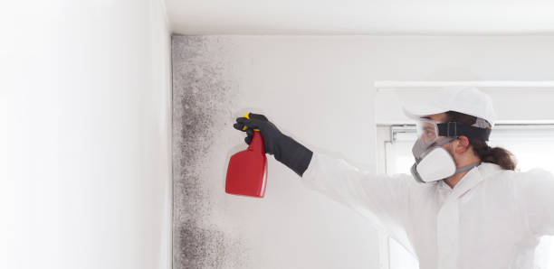 Best Emergency Mold Removal  in Princeton, TX